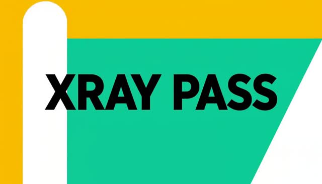 39 XRAY PASS: escaneo transparente tipo rayos X