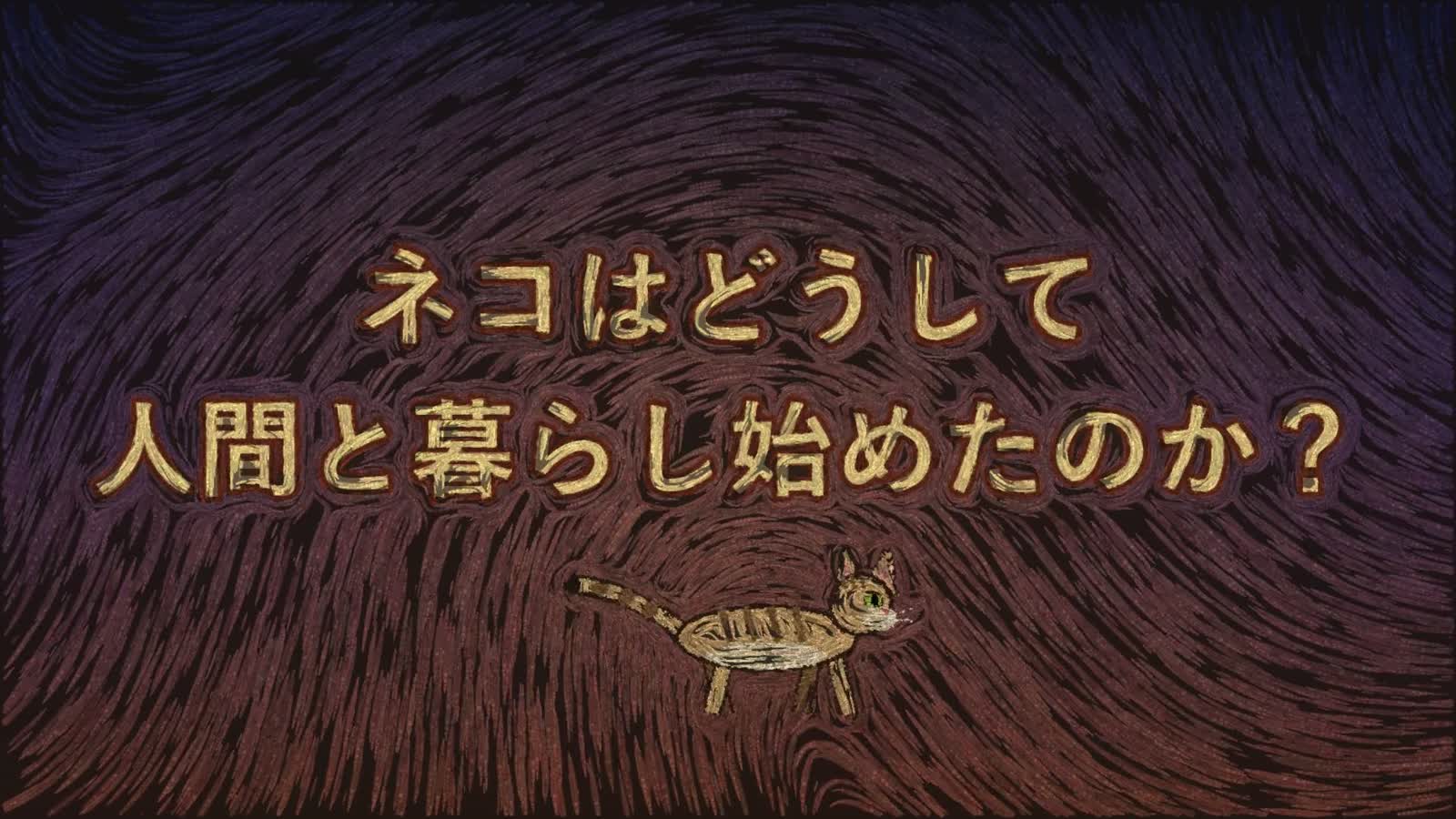 PoC de animación Opus 5.5: 26: Campo de flujo