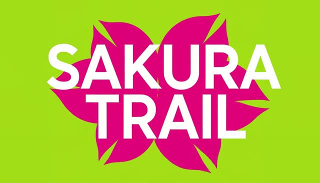 77 SAKURA TRAIL: de estela a pétalos de cerezo